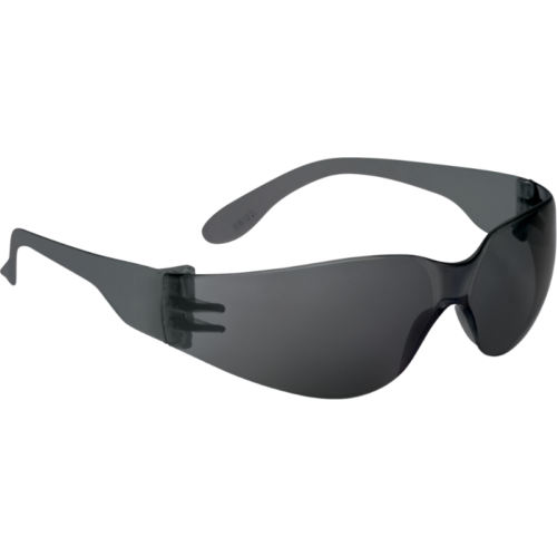 MONOBLOC POLYCARBONATE GLASSES BRAVA2 LM DELTAPLUS